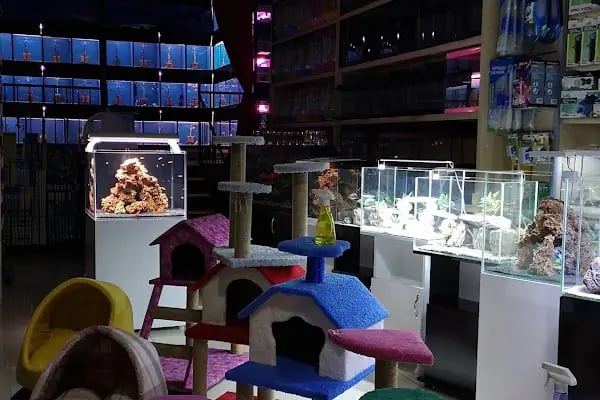Ortadoğu Akvaryum ve Pet Shop - Resim 3
