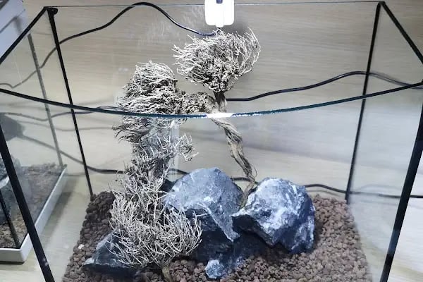 Ortadoğu Akvaryum ve Pet Shop - Resim 9