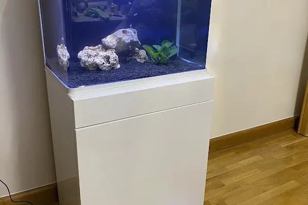 Ortadoğu Akvaryum ve Pet Shop - Resim 18