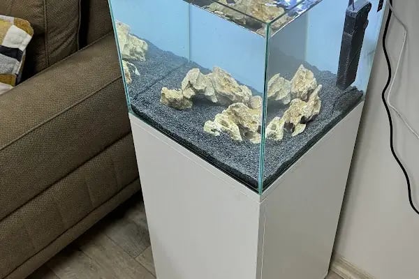 Ortadoğu Akvaryum ve Pet Shop - Resim 12