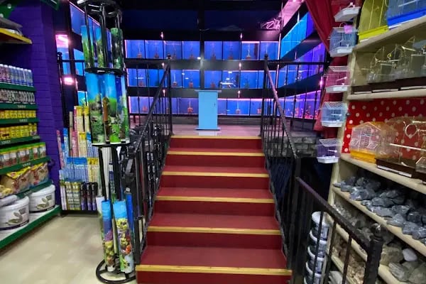 Ortadoğu Akvaryum ve Pet Shop - Resim 10