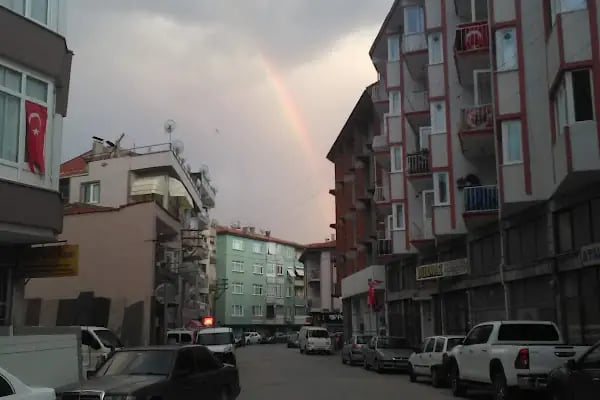 Aras Kargo Gemlik Şubesi - Resim 6