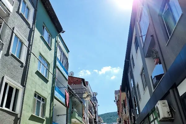 Aras Kargo Gemlik Şubesi - Resim 1