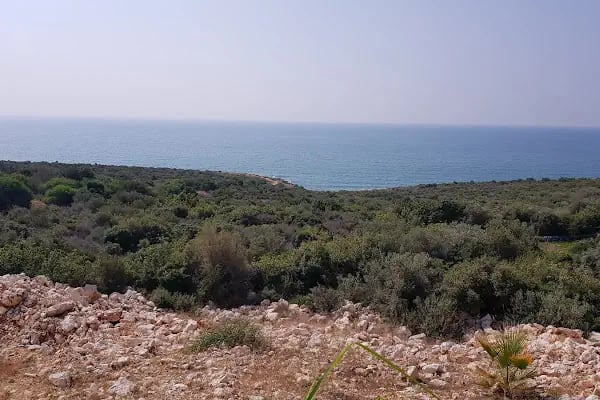 Paşa Türbesi - Resim 19