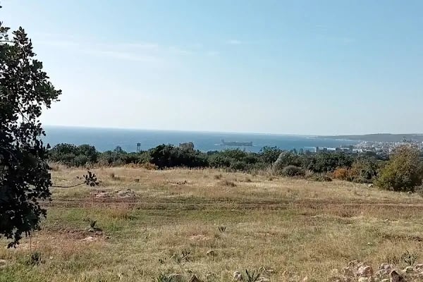 Paşa Türbesi - Resim 15