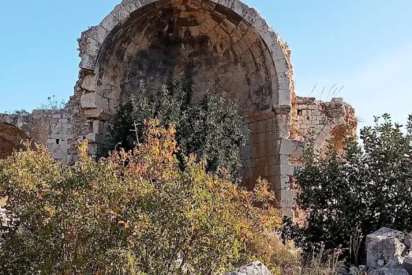 Paşa Türbesi - Resim 14