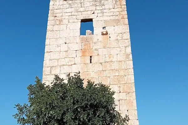 Paşa Türbesi - Resim 9
