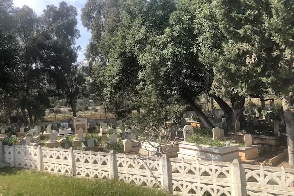Paşa Türbesi - Resim 16