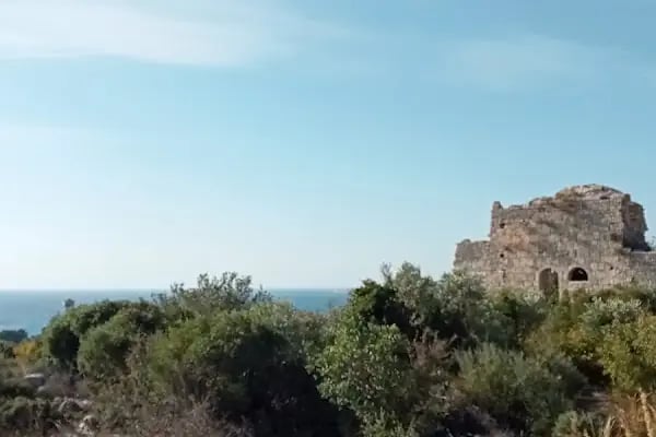 Paşa Türbesi - Resim 20