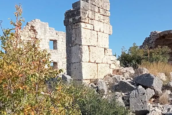 Paşa Türbesi - Resim 12