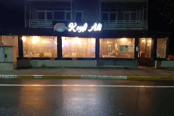 Keyfi Alâ - Resim 6
