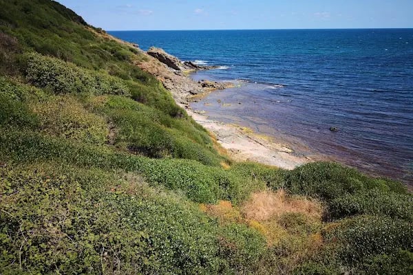 Sebastian Beach - Resim 2