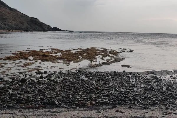 Sebastian Beach - Resim 20