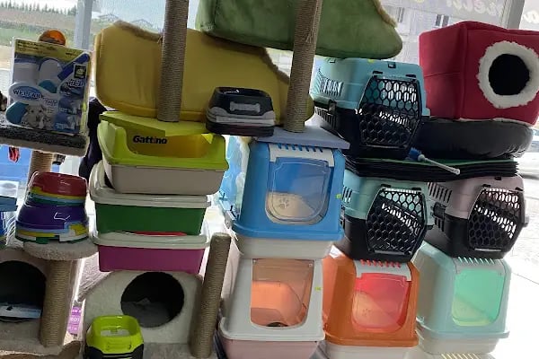 BARMELİF PETSHOP - Resim 17