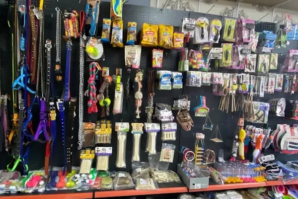 BARMELİF PETSHOP - Resim 14
