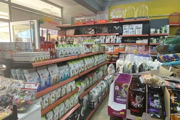 BARMELİF PETSHOP - Resim 4