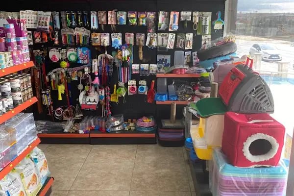 BARMELİF PETSHOP - Resim 15