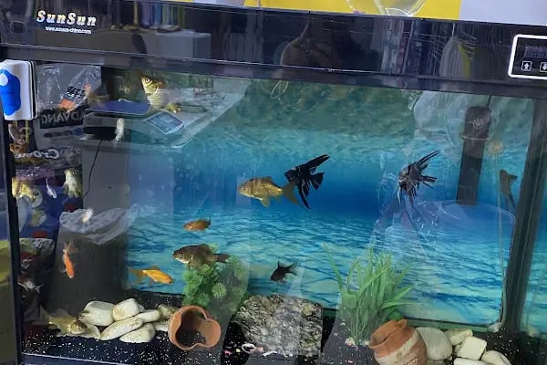 BARMELİF PETSHOP - Resim 16