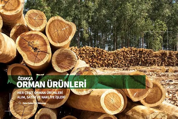 Akça Orman Ürünleri - Resim 4