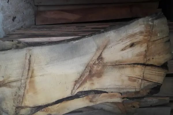 Akça Orman Ürünleri - Resim 17
