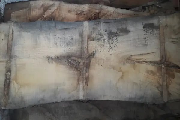 Akça Orman Ürünleri - Resim 8