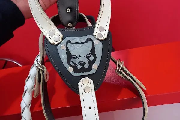 Eren petshop - Resim 4