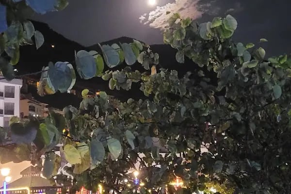 Maçka Macera Parkı - Resim 12
