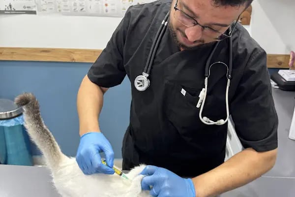 Vetbros Veteriner Kliniği - Resim 16