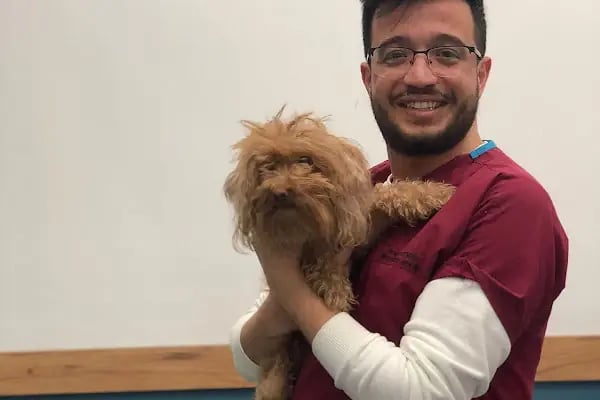Vetbros Veteriner Kliniği - Resim 13