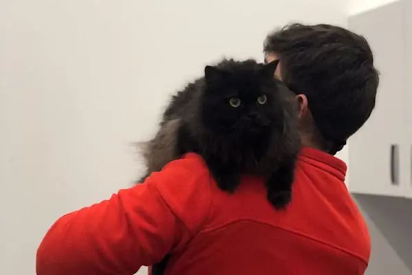Vetbros Veteriner Kliniği - Resim 14