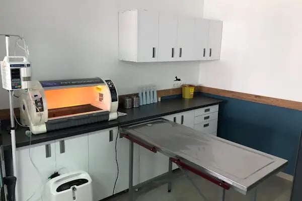 Vetbros Veteriner Kliniği - Resim 8