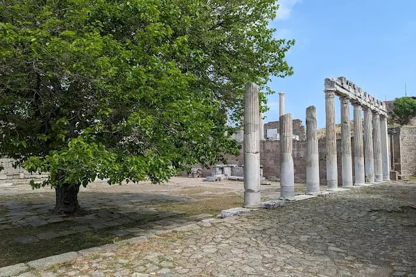 Traianus Tapınağı - Resim 15