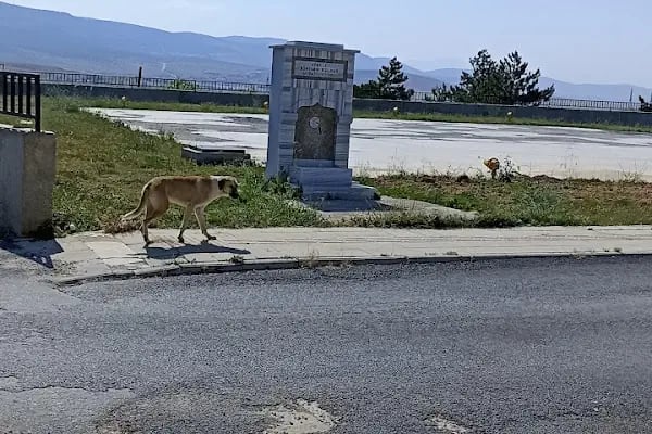 Hüyük Devlet Hastanesi - Resim 16