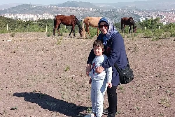 Peştanlı At Çiftliği - Resim 14