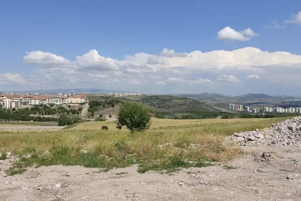 Peştanlı At Çiftliği - Resim 12