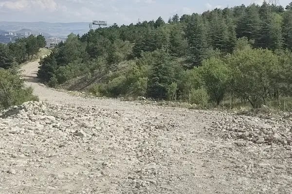 Peştanlı At Çiftliği - Resim 13