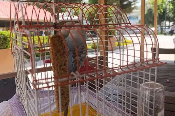 Güneşli Parkı - Resim 7