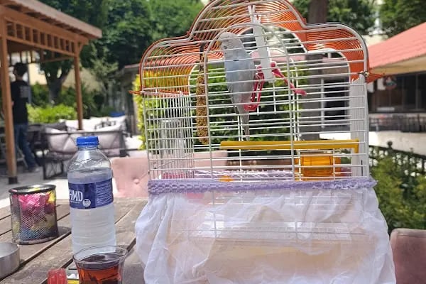 Güneşli Parkı - Resim 12