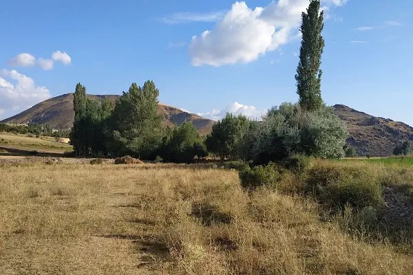 Akçakale Köyü Cami - Resim 10