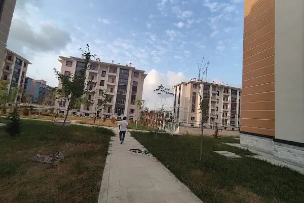 19 Mayıs Toki - Resim 10