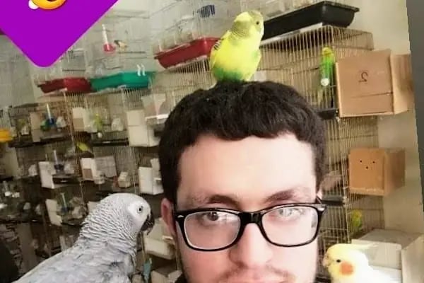 Alatay pet shop - Resim 2