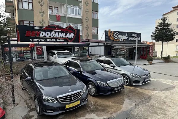 Beydoğanlar Otomotiv - Resim 11
