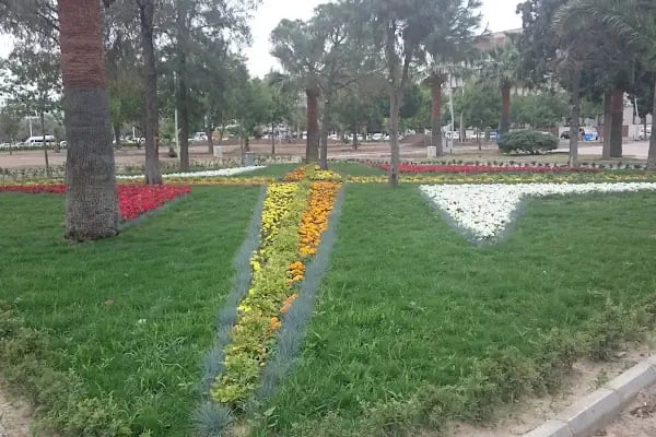 Uğrak Sera Aile Çay Bahçesi - Resim 9