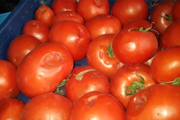 Yükseliş Market - Resim 6