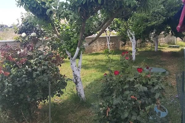 Zeytin park konakları - Resim 12