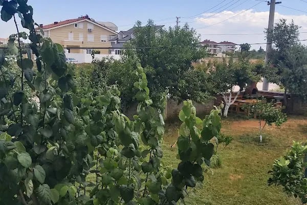 Zeytin park konakları - Resim 3