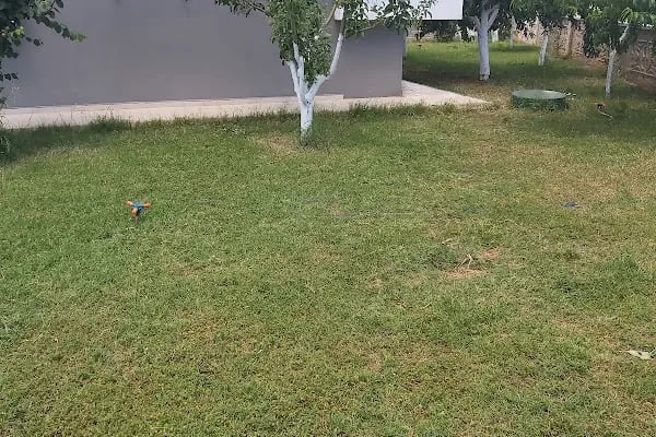 Zeytin park konakları - Resim 18