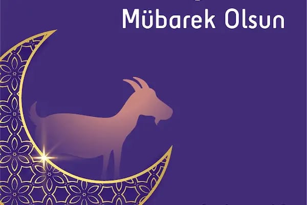 Aslıtürk Teknoloji Güvenlik İnşaat Ltd. Şti. - Resim 4