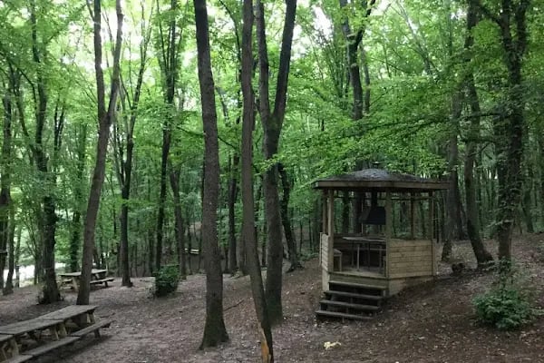 Fatih Ormanı Tabiat Parkı - Resim 2