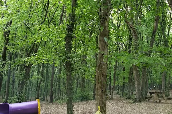 Fatih Ormanı Tabiat Parkı - Resim 4